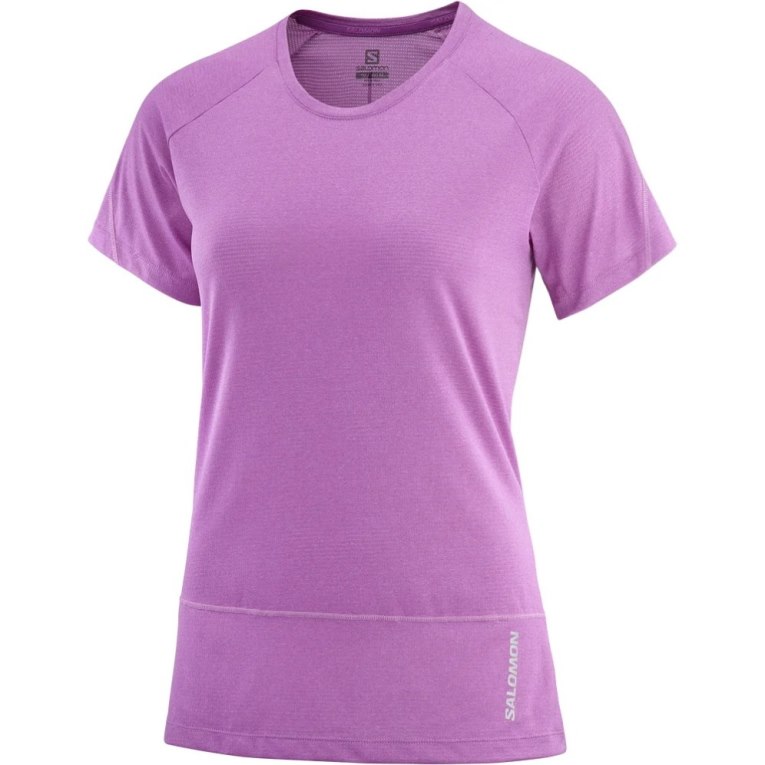 Camiseta Salomon Cross Run Curta Sleeve Feminino Lavanda | PT B74250